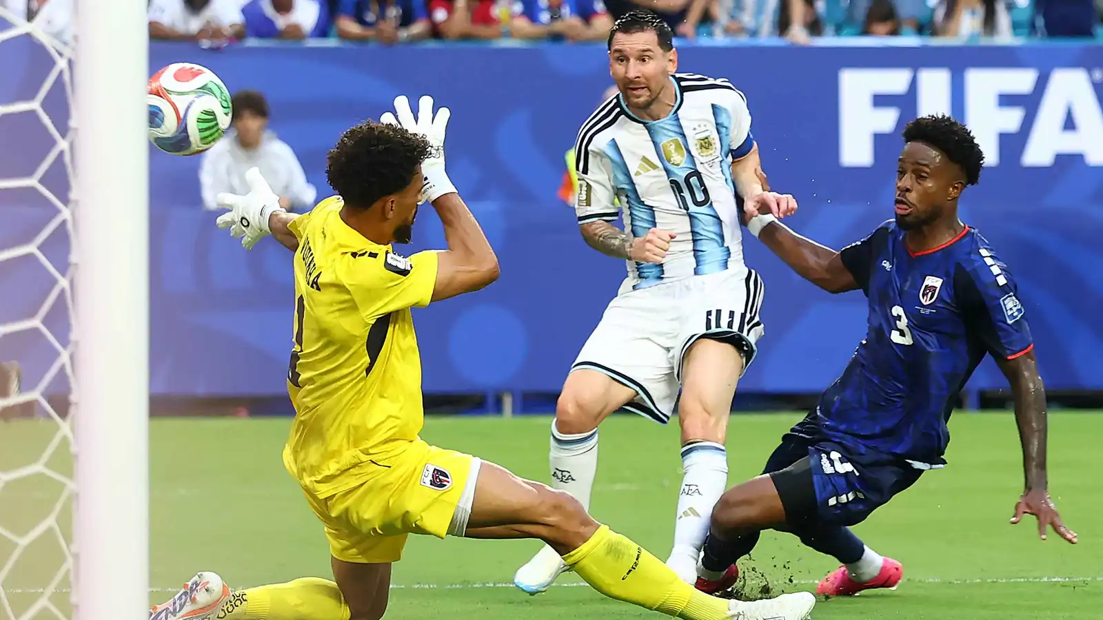 كلب يتحوّل إلى نجم عالمي في مونديال 2026