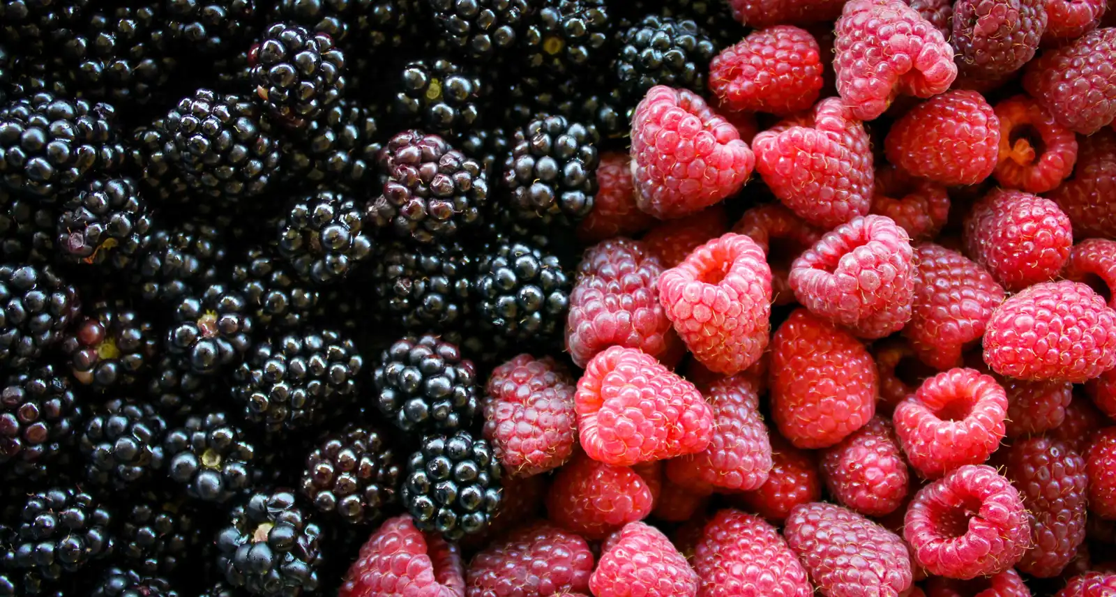 أطعمة تقلل مخاطر الإصابة بسرطان الثدي