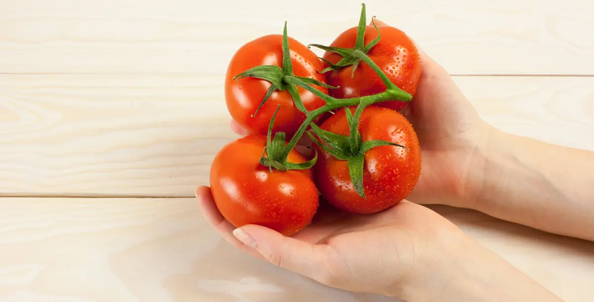 دراسة حديثة.. الطماطم تبطئ خطر الإصابة بسرطان المعدة