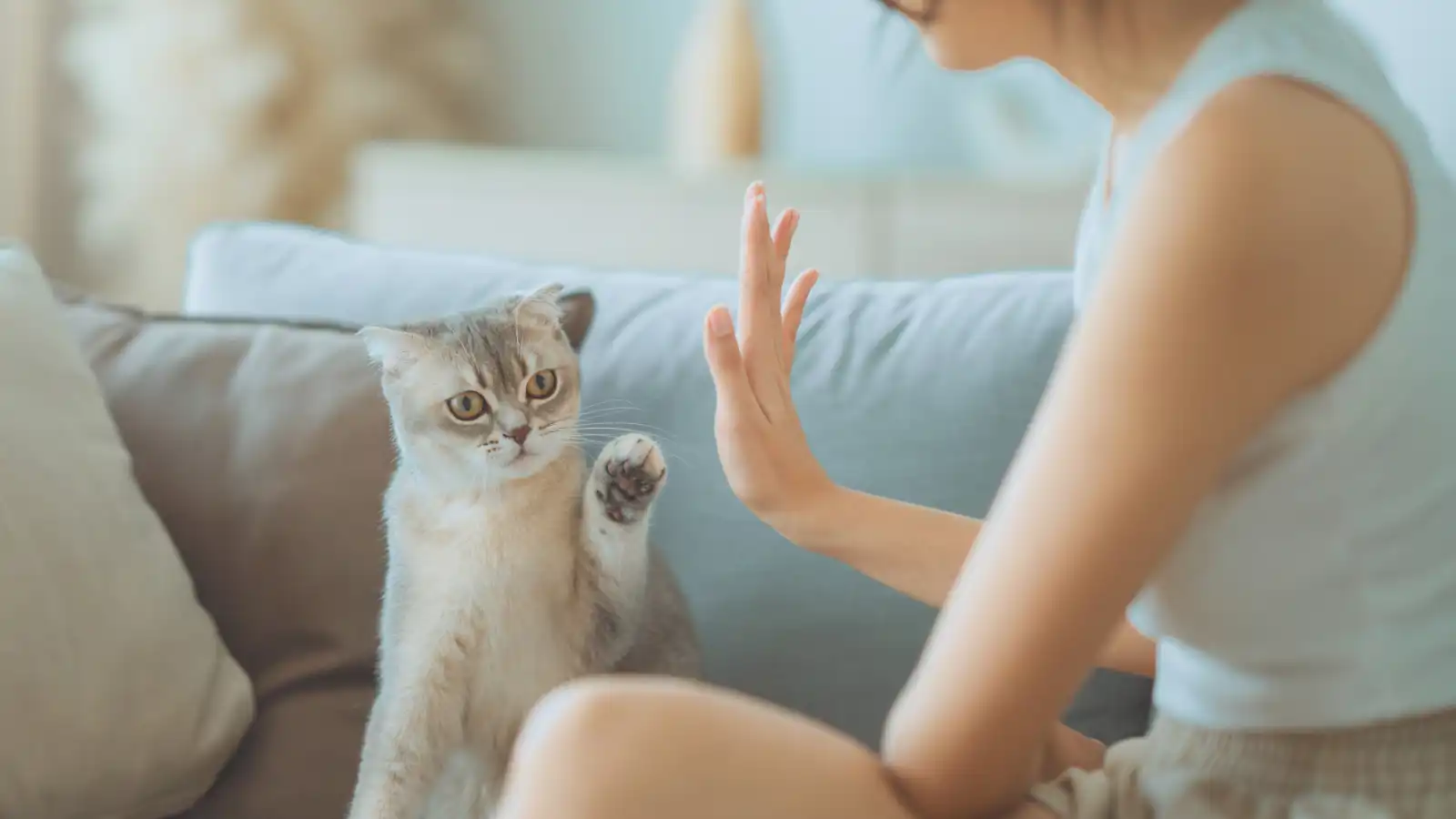تربية الحيوانات الأليفة ودورها في تعليم فن الصبر