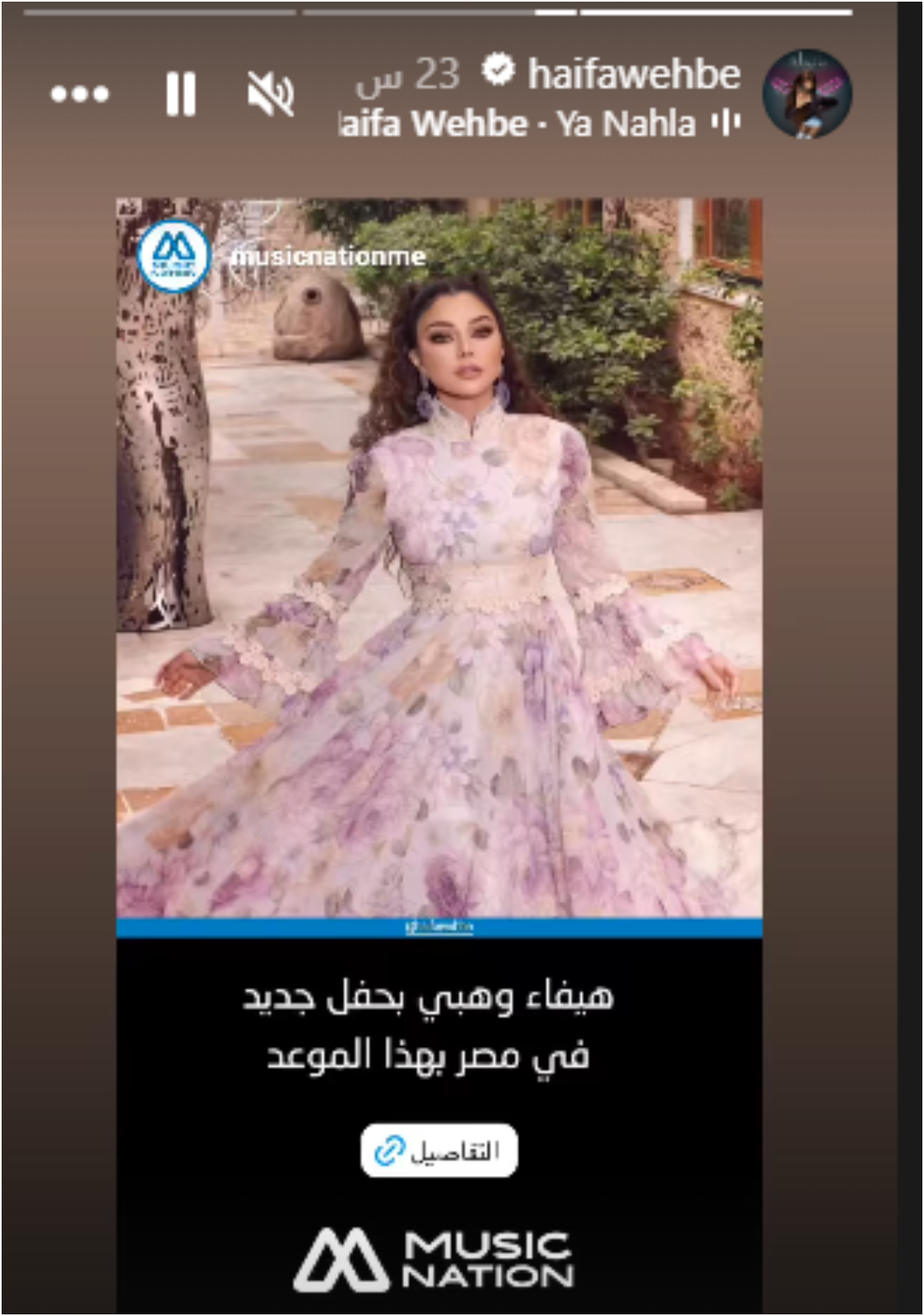 الفنانة اللبنانية هيفاء وهبي