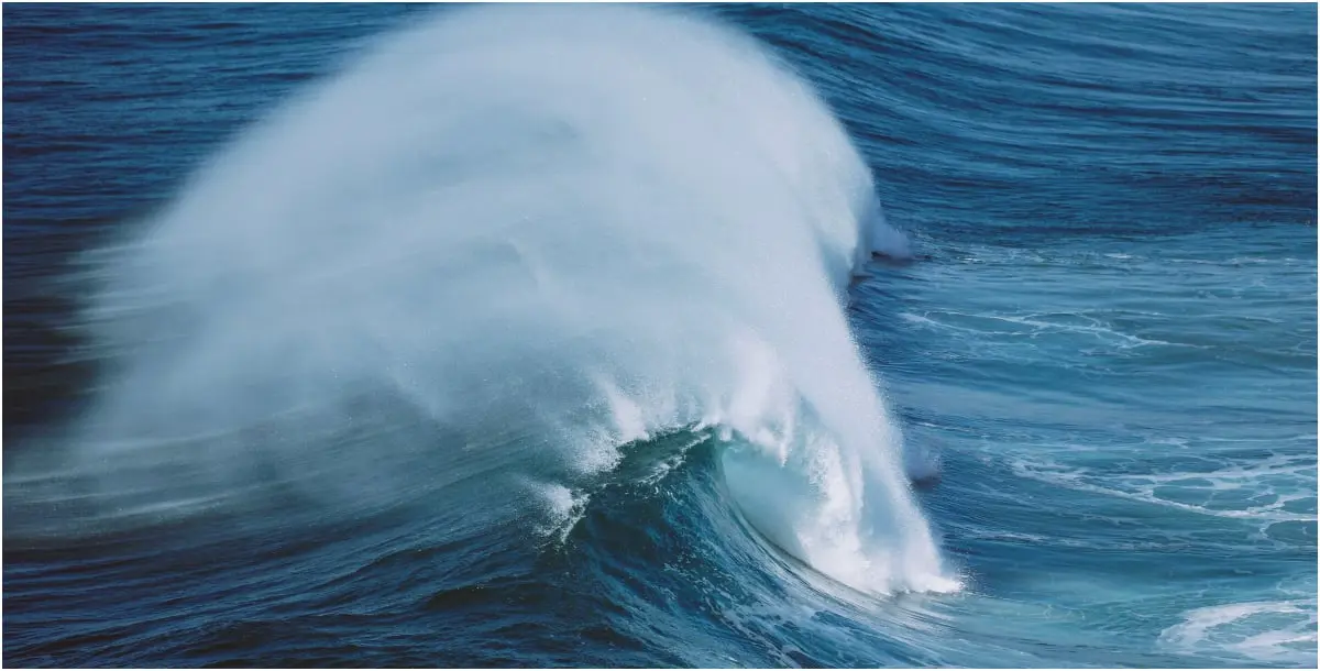 مياه البحر تقذف مخلوقا مرعبا بسبب العاصفة "كيارا".. شاهديته!