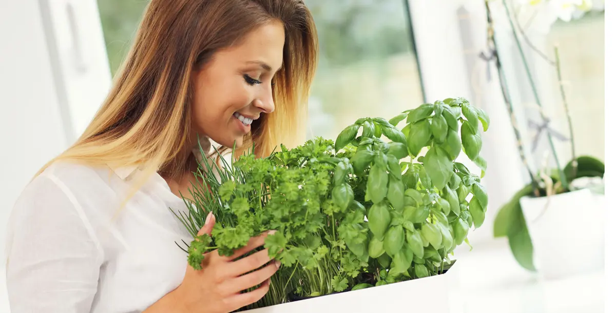 تعرفي على أكثر أنواع الأعشاب المفيدة لصحتك ونفسيتك