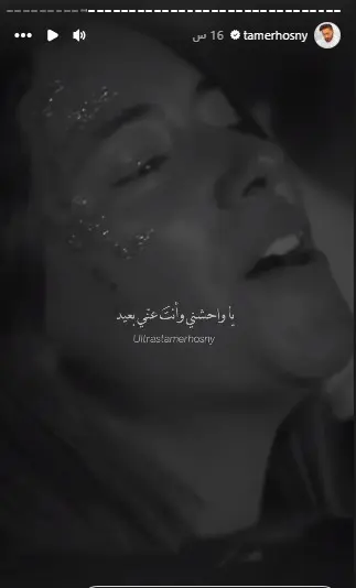 تامر حسني