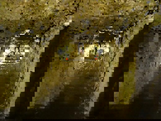 0be4023e-c8db-47c1-a483-c4dd4d6dfd85