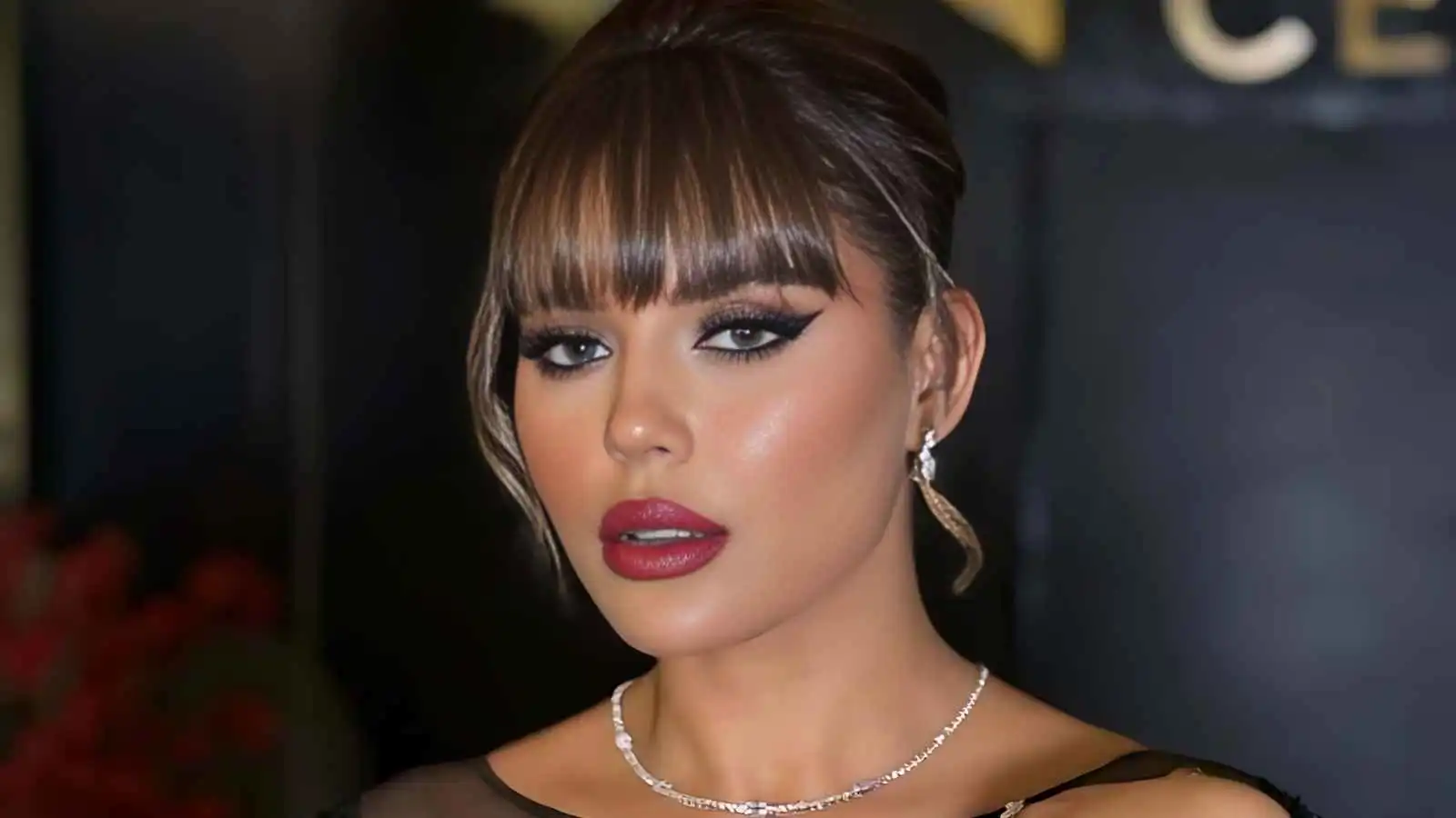 هبة السيسي تخضع لعملية جراحية خطيرة