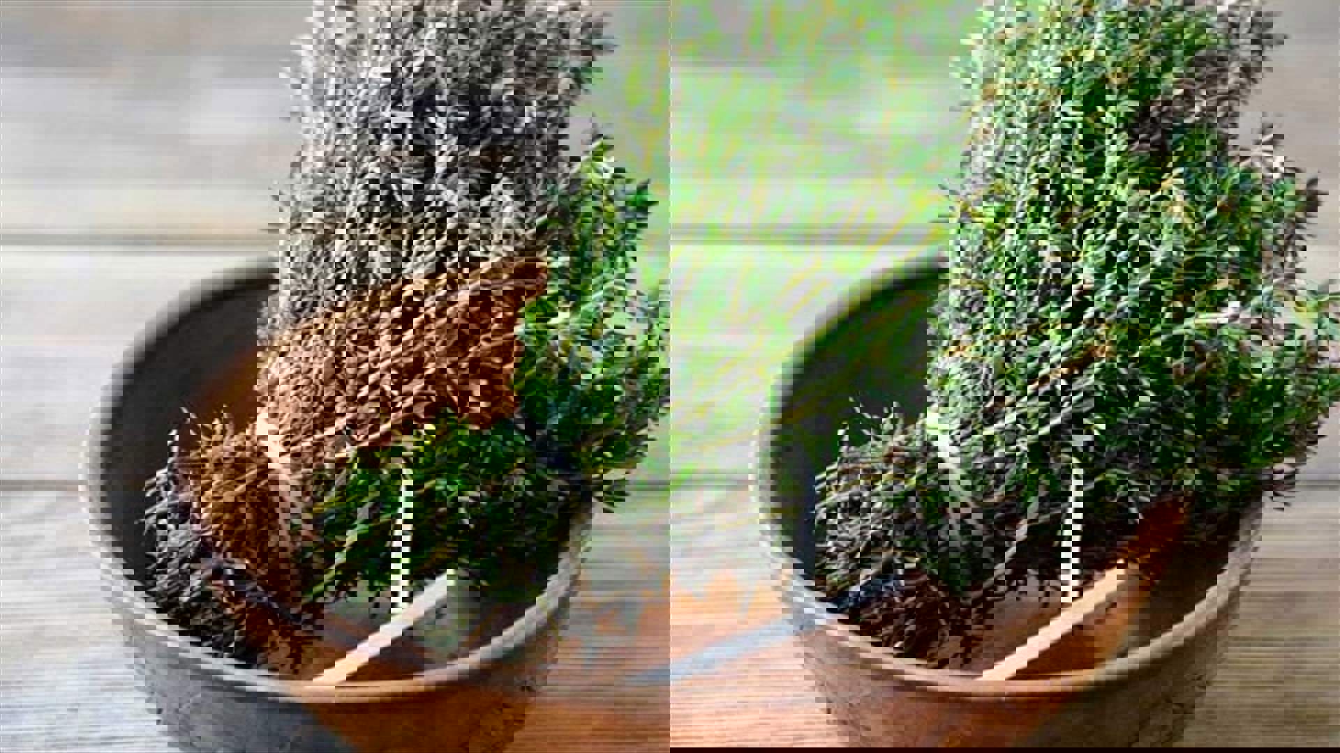 0ccfa1f2-b458-4d52-8462-93e55fe2c7b6