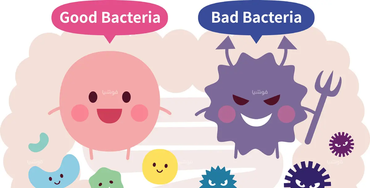 ما هي فوائد البكتيريا النافعة.. وكيف يحصل الإنسان عليها؟