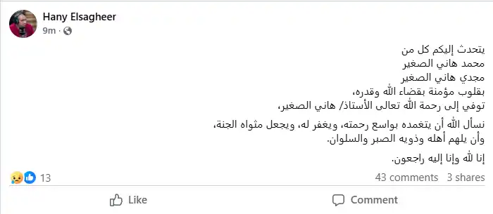 وفاة الشاعر هاني الصغير