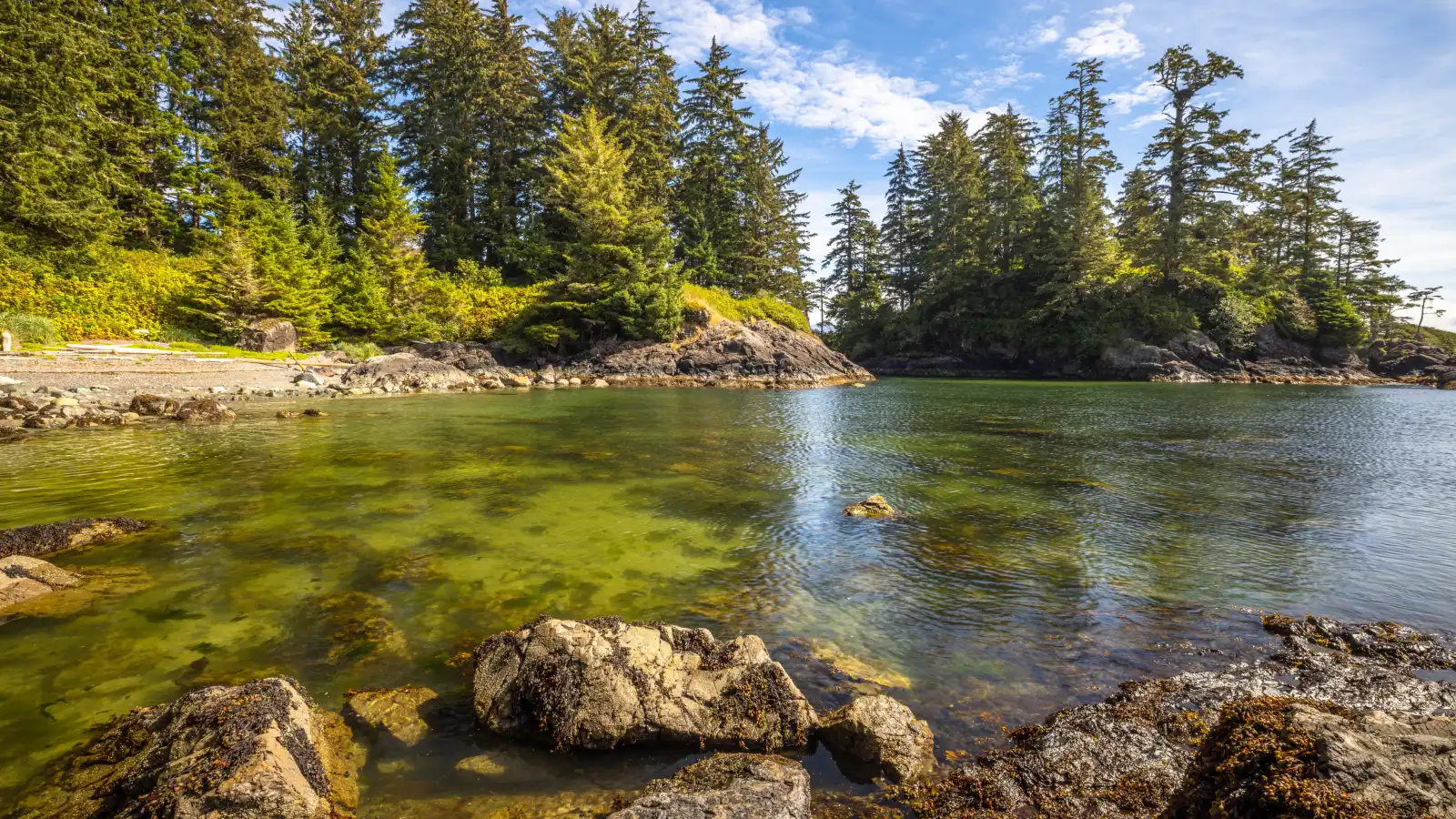 محمية متنزه باسيفيك ريم الوطنية Pacific Rim National Park Reserve في كندا