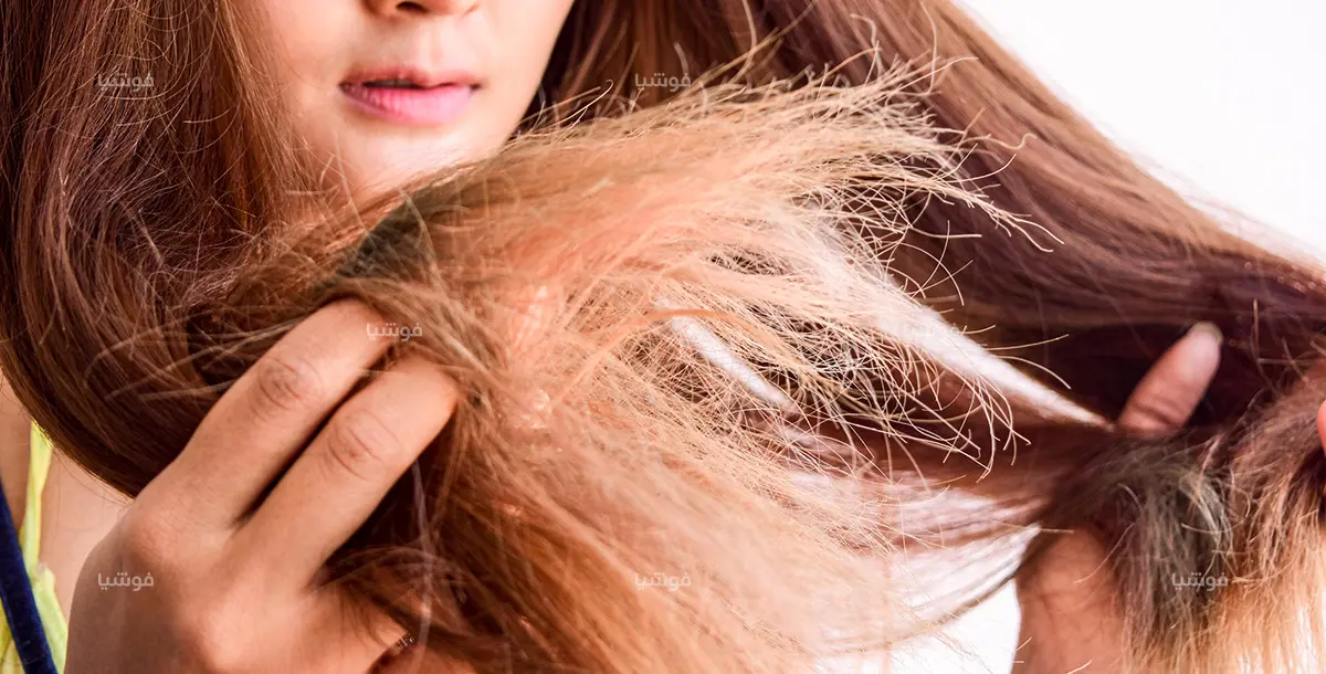 جفاف الشعر.. 5 علاجات منزلية سريعة وسهلة