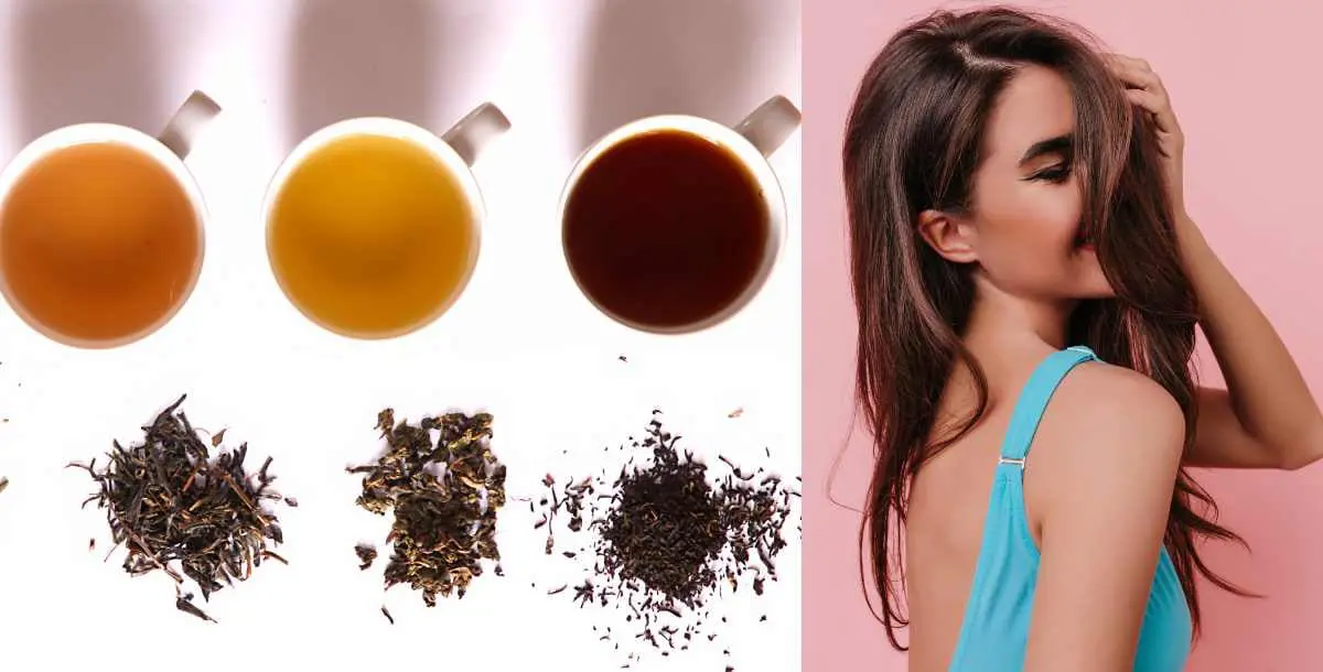 الشاي أنواع.. أيها يناسب شعرك أكثر؟