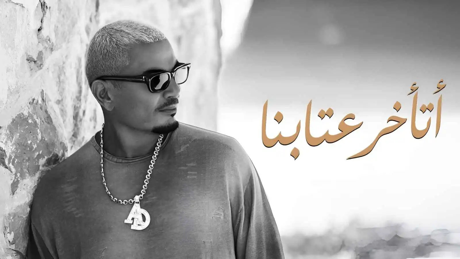 أزمة "اتأخر عتابنا" تهدد شراكة عمرو دياب وتامر حسين