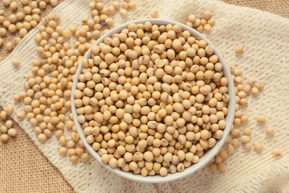 بذور الصويا