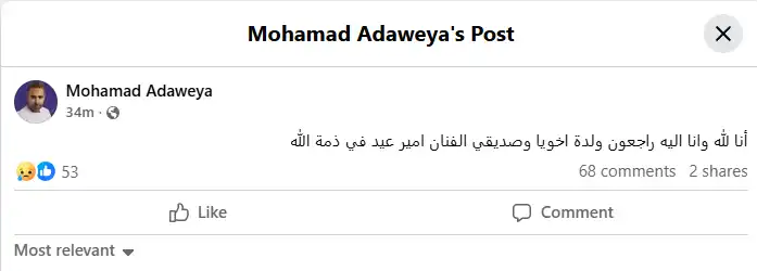 وفاة والدة أمير عيد