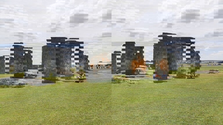2bee7ab3-3c71-435e-a527-5a4c3dd9d4ce