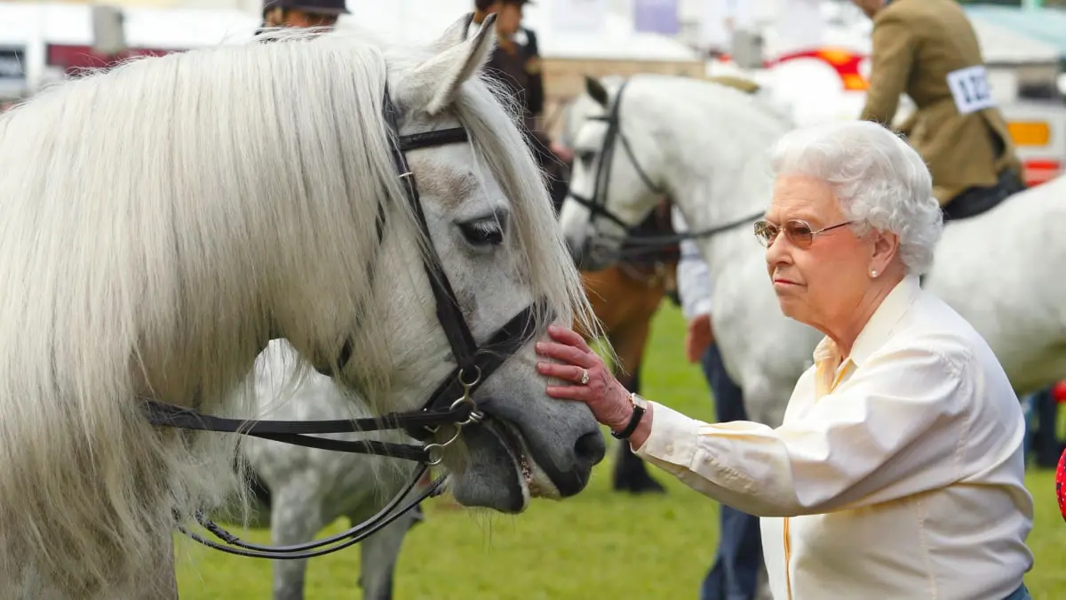 الملكة إليزابيث تظهر بـ"صحة رائعة" وتزور خيولها
