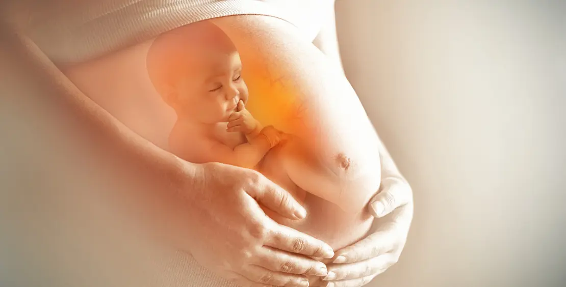 تأثير خطير للتلوث على الجنين