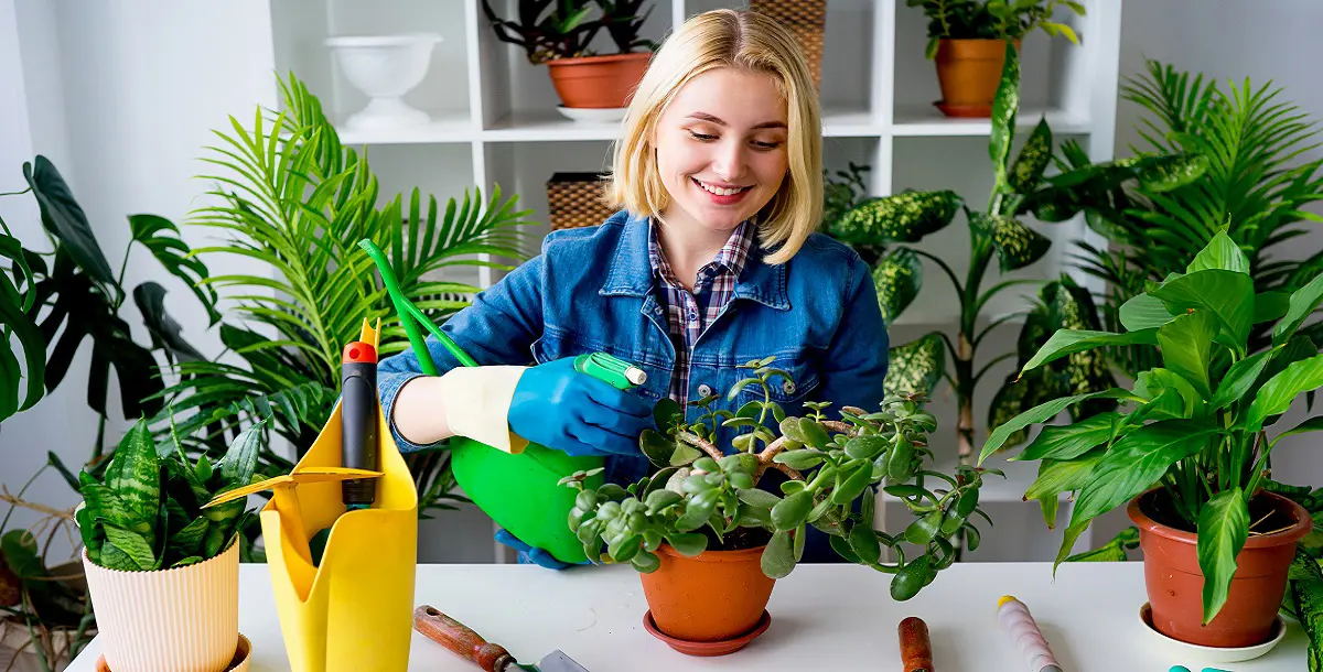 هذه النباتات تعمل على تنقية الهواء في منزلكِ.. تعرّفي عليها