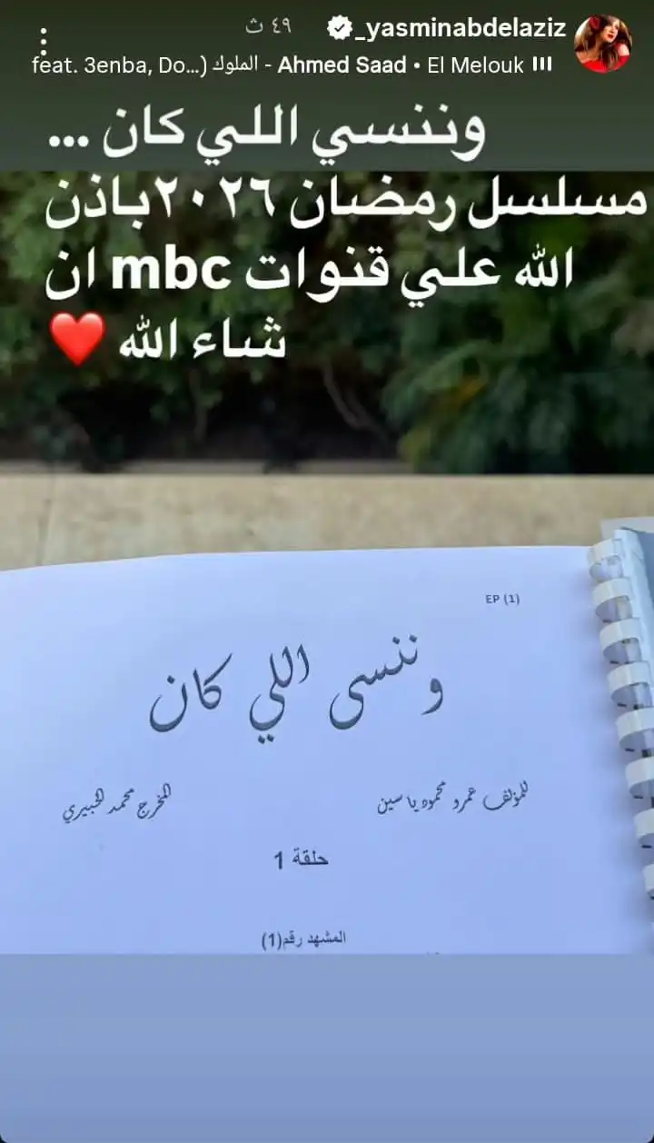 ياسمين عبد العزيز