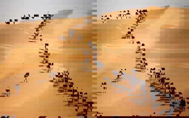 334acbf6-b556-4e00-839c-01b044835b3a