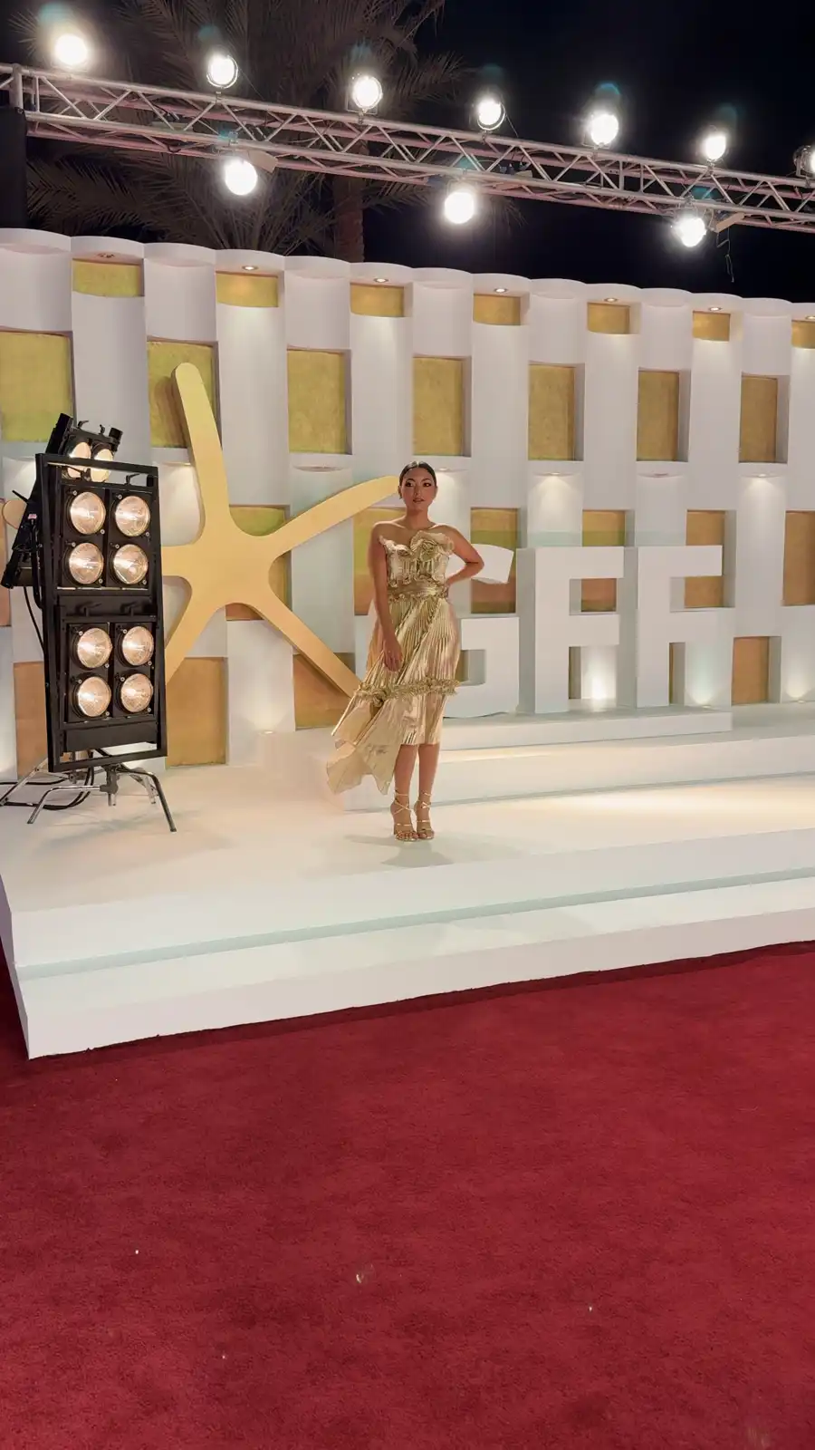 النجوم يحضرون العرض الخاص لفيلم كولونيا في الجونة