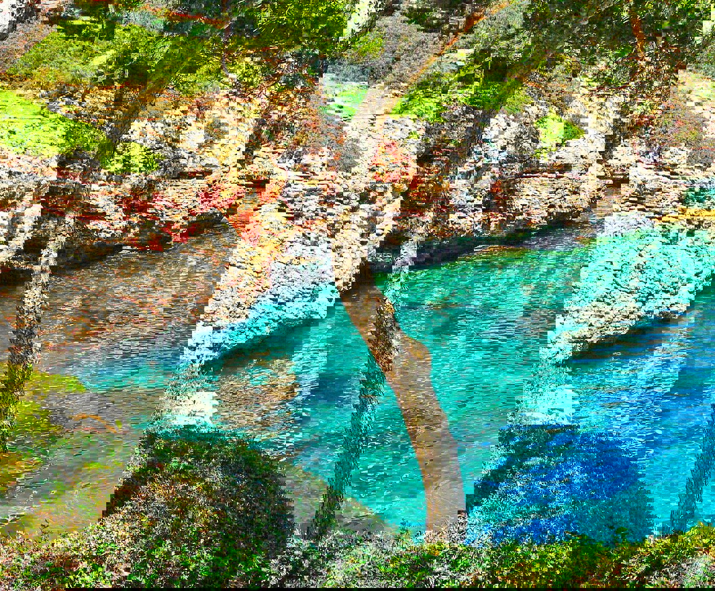 35324dae-78bb-4513-8bd3-40e7cd5fbba4