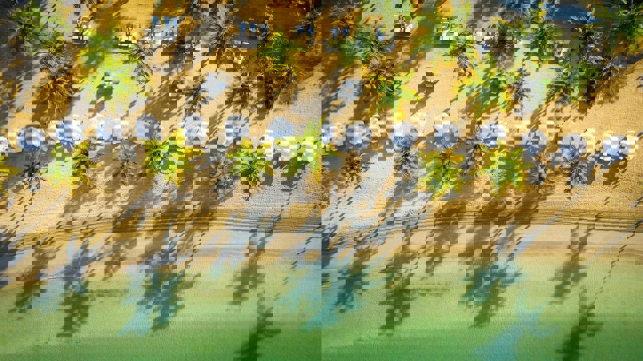 354a3d61-757d-4817-afe0-48c99206a971