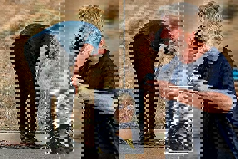35cbb864-e4a2-4927-9878-860e29ae4e31