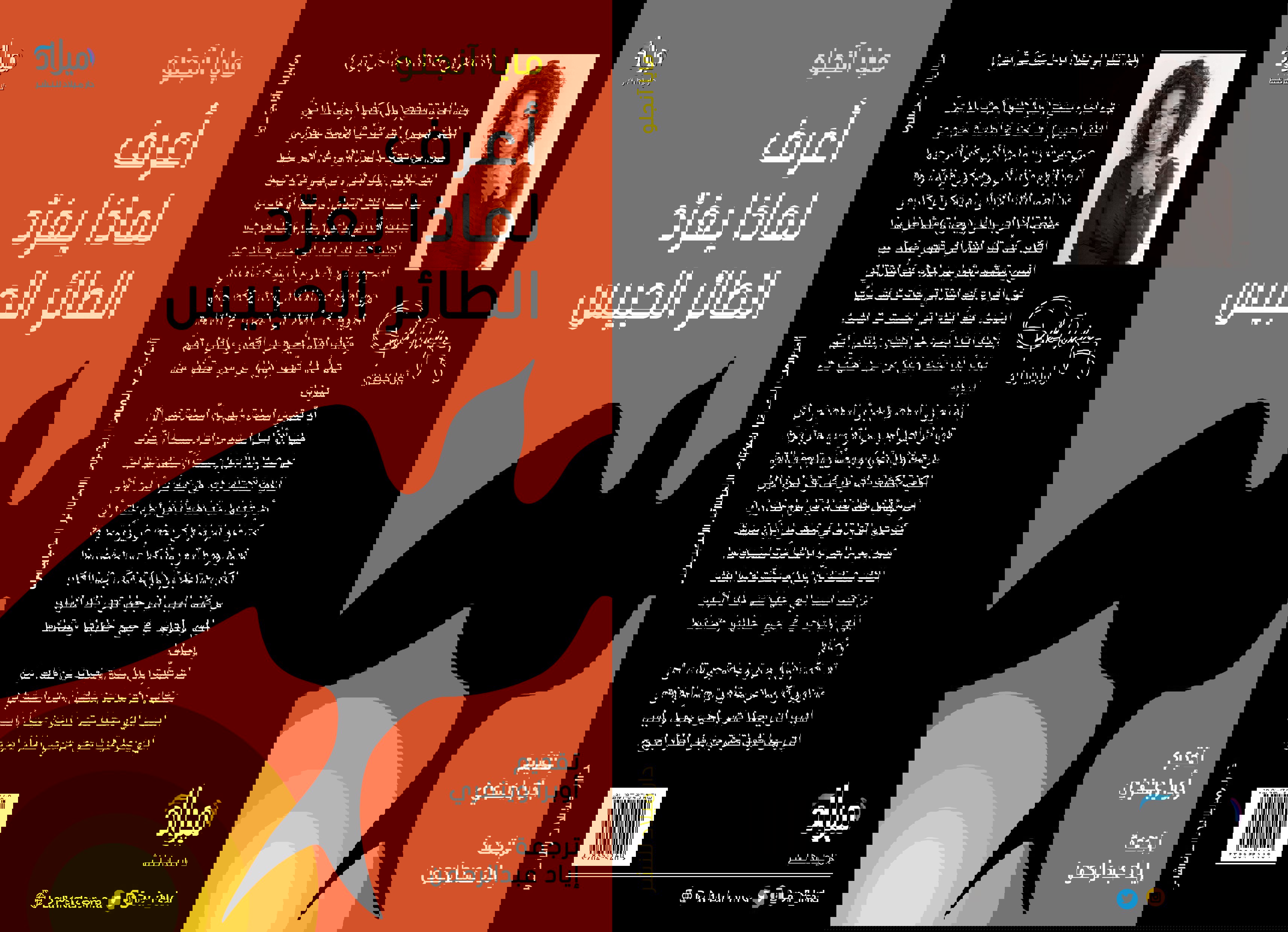 378ea9e1-1b67-4b9a-b6ee-d11585698c9a