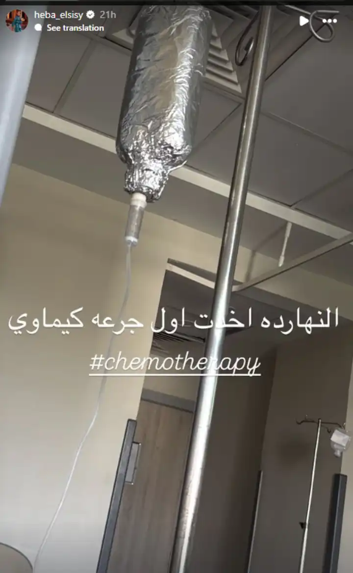 هبة السيسي