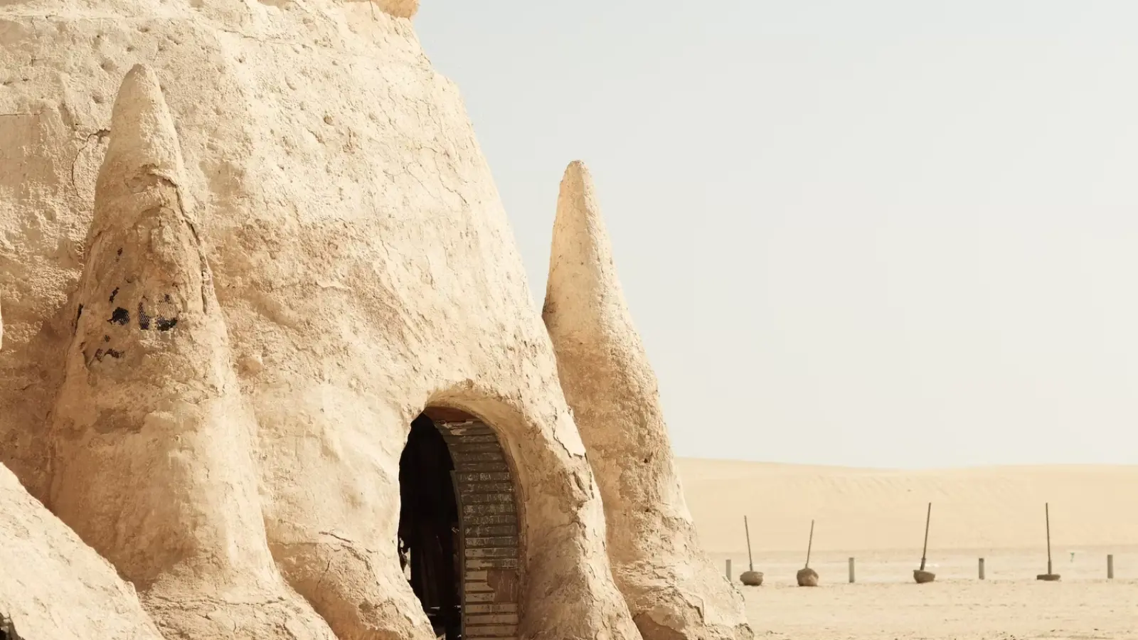 تونس