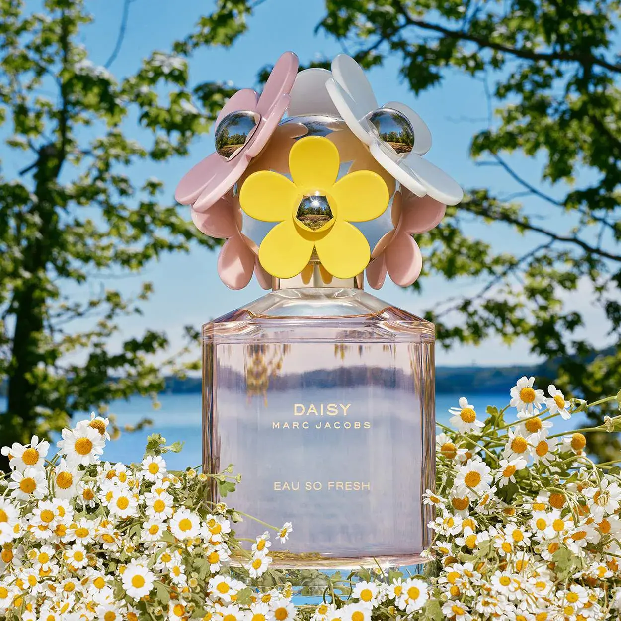 عطر Daisy Eau So Fresh