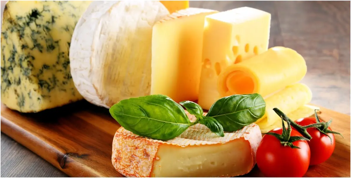 أفضل 5 أنواع من الجبن.. صحية ومفيدة للحمية الغذائية