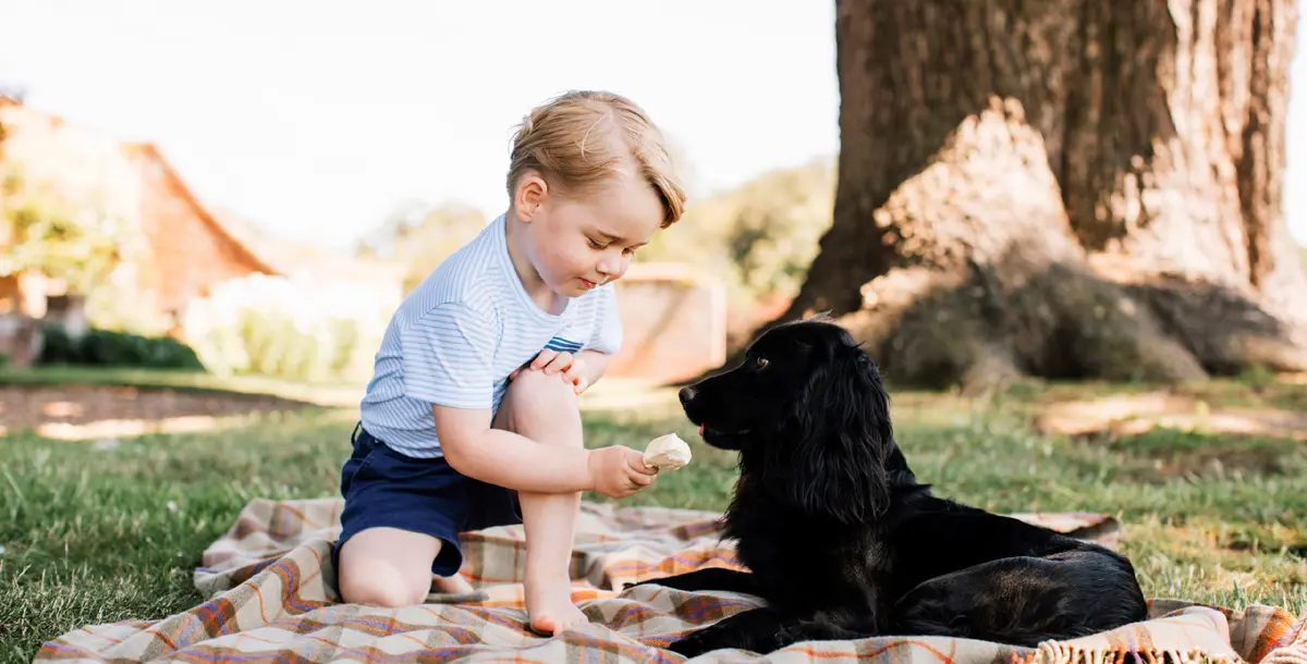 الأمير جورج يبدأ عامه الدراسي الأول في الأسبوع المٌقبل
