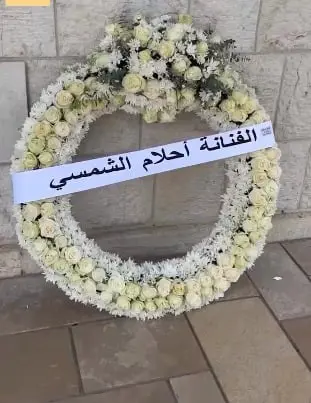 أحلام الشمسي