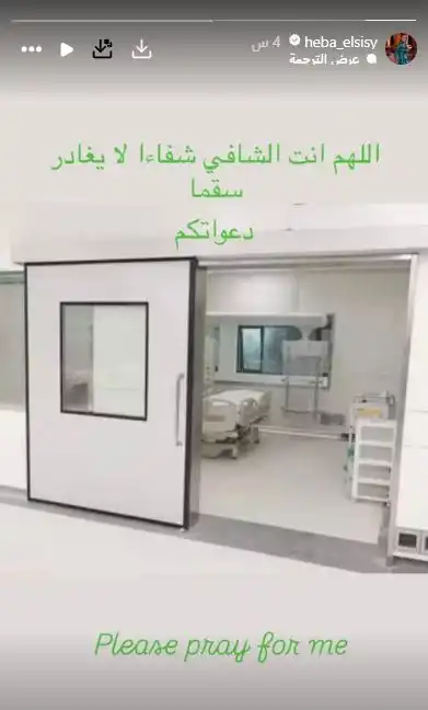 هبة السيسي