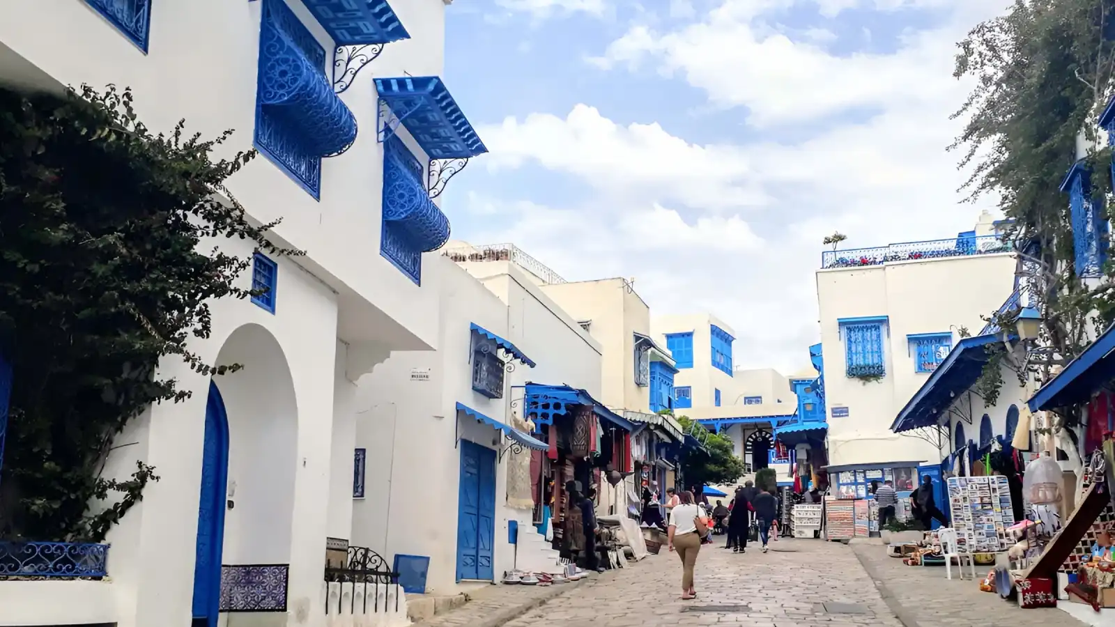 اليونسكو تدرج سيدي بوسعيد ضمن التراث العالمي