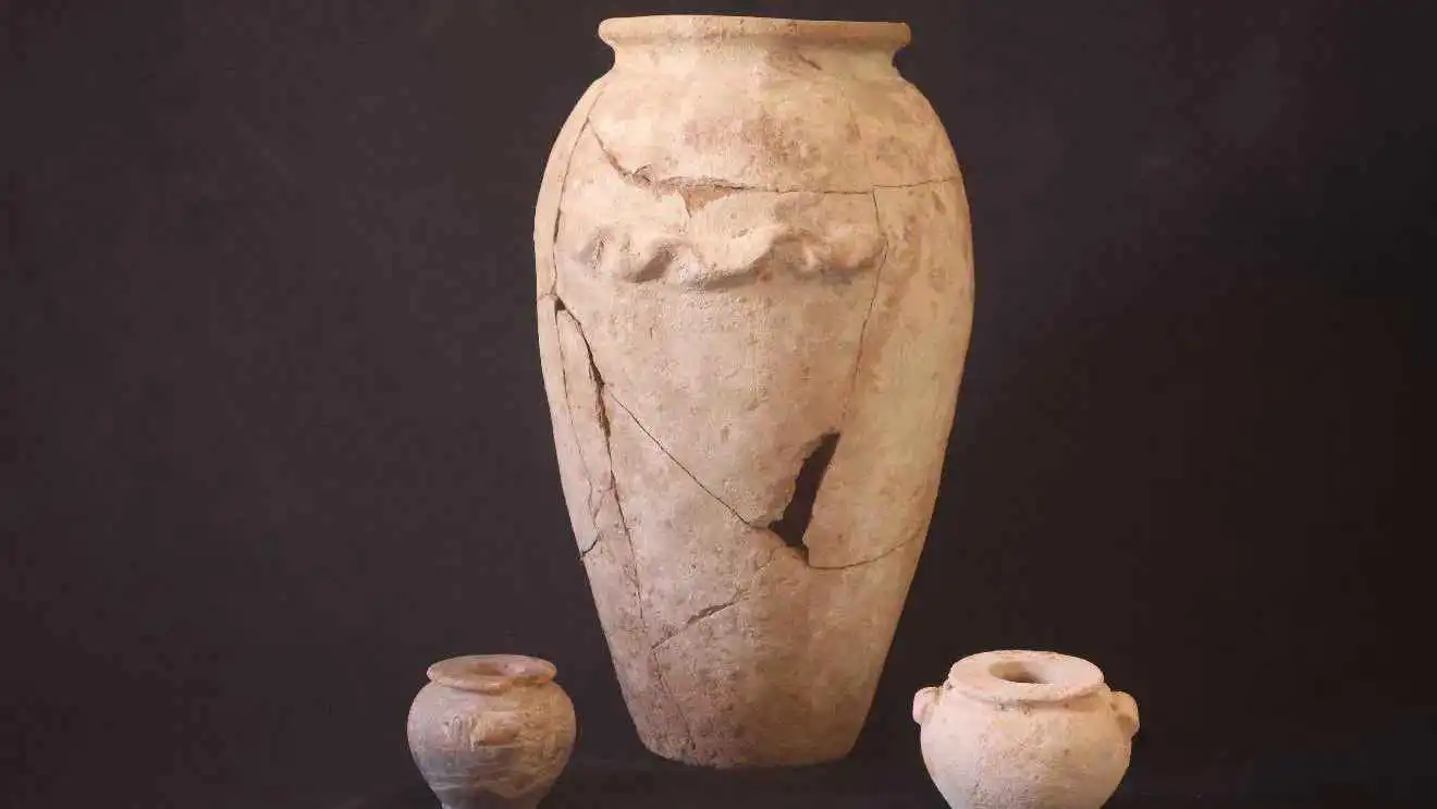 من موجودات المقبرة