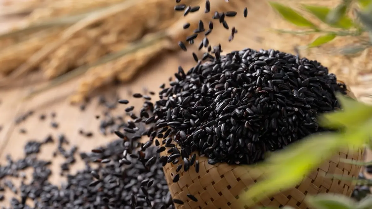 4 فوائد صحية مدهشة للأرز الأسود