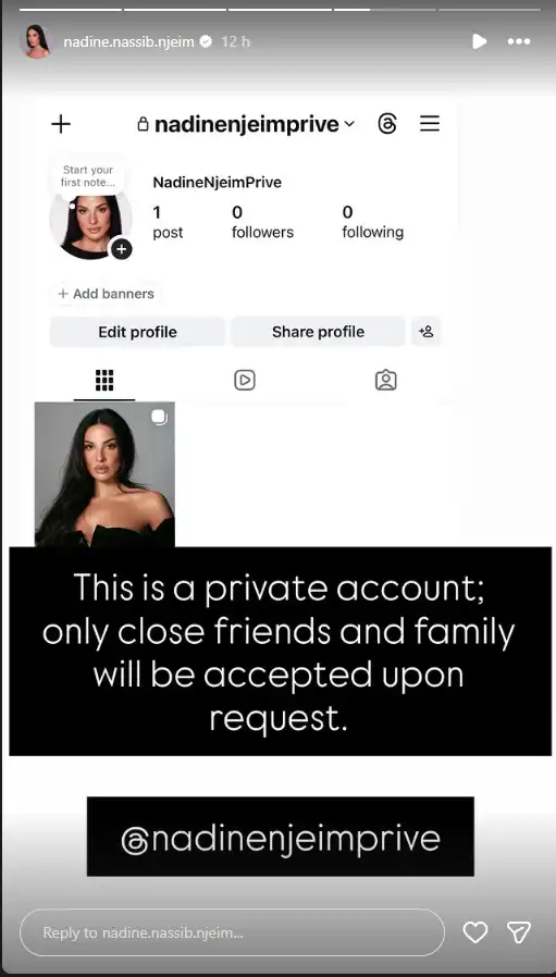 ستوري نادين نجيم