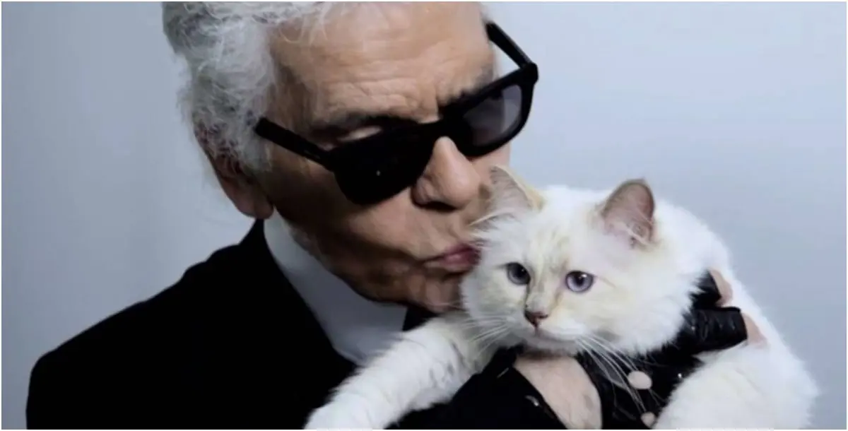 قطة كارل لاغرفيلد تُطلقُ مجموعة أزياء جاهزة "RIP Daddy"!