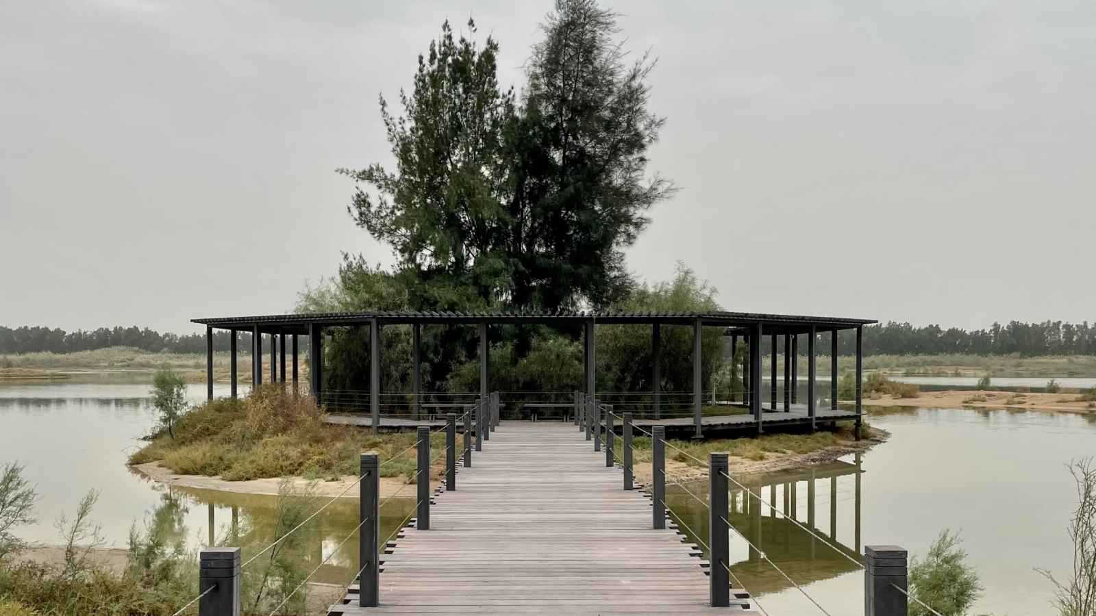 تجارب استكشافية لا تفوتها بمحمية واسط في الشارقة 