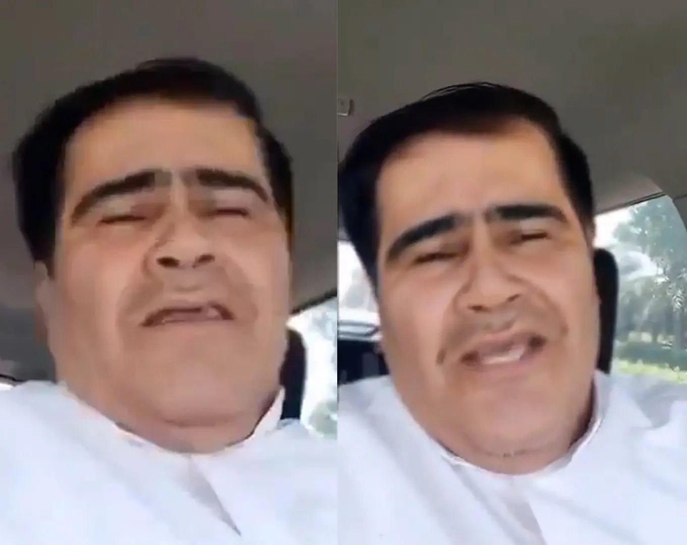 شبيه سيد زيان