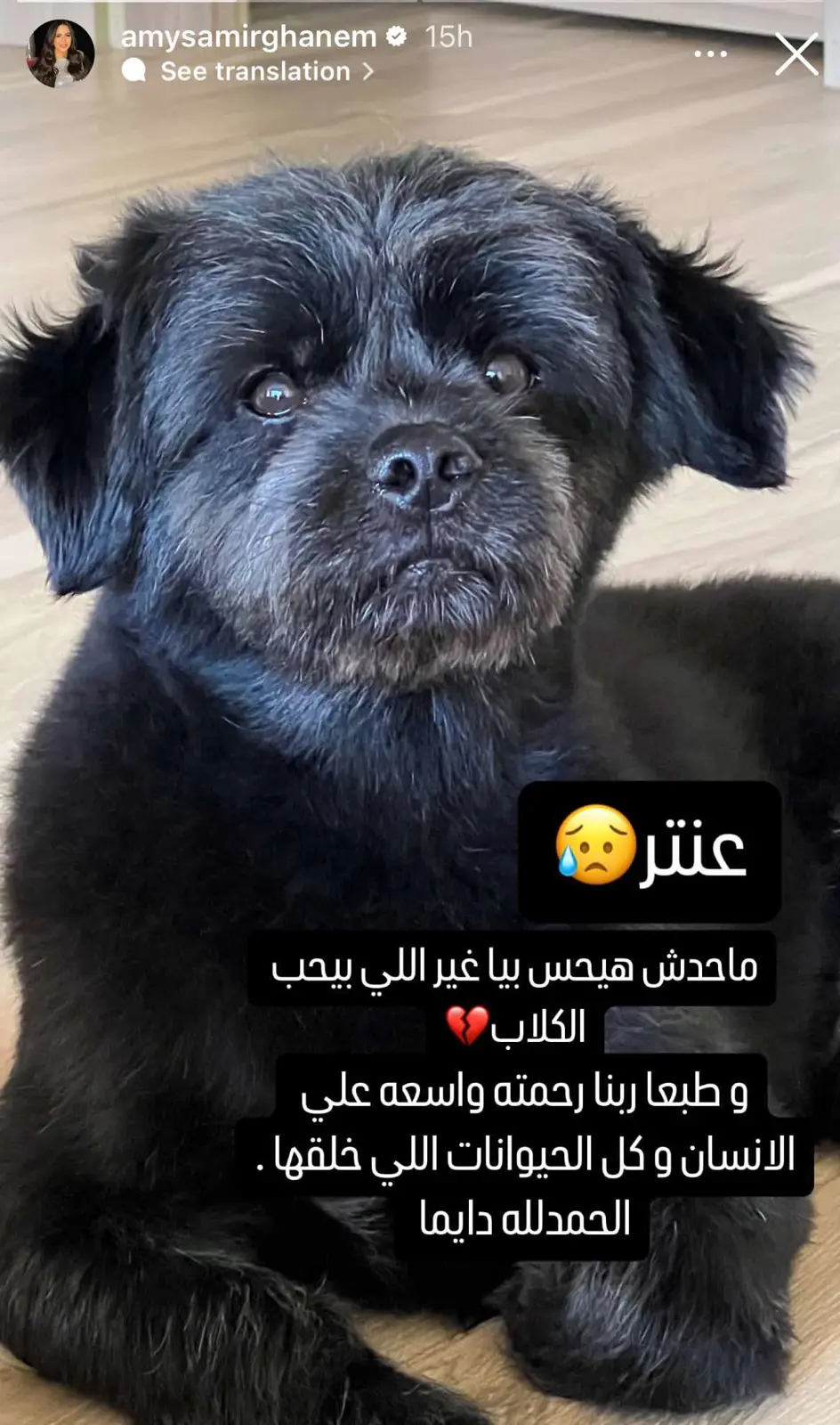 643d6a20-4085-4fb9-b2cd-d8d2b8ec178d