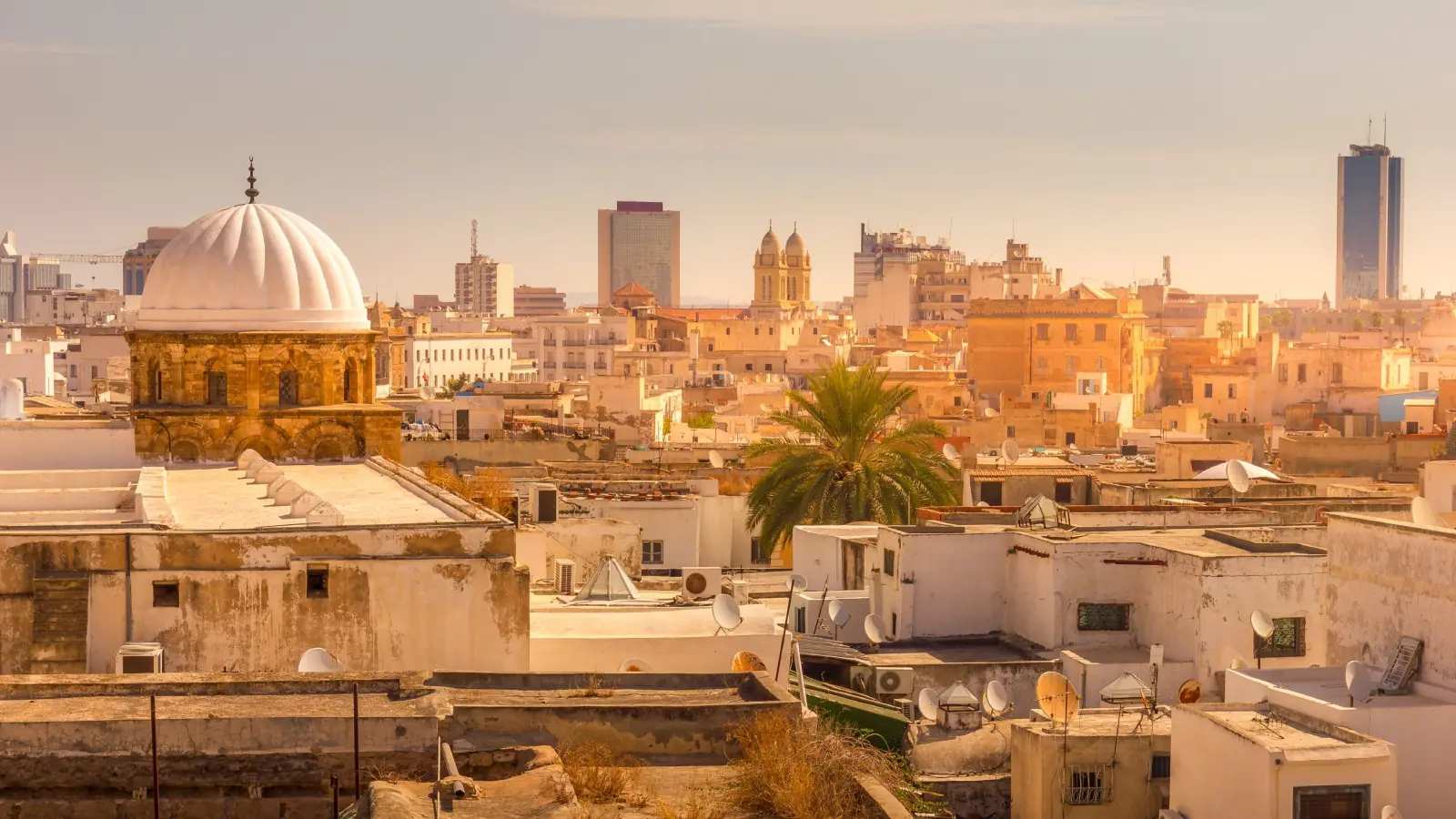 تونس القديمة