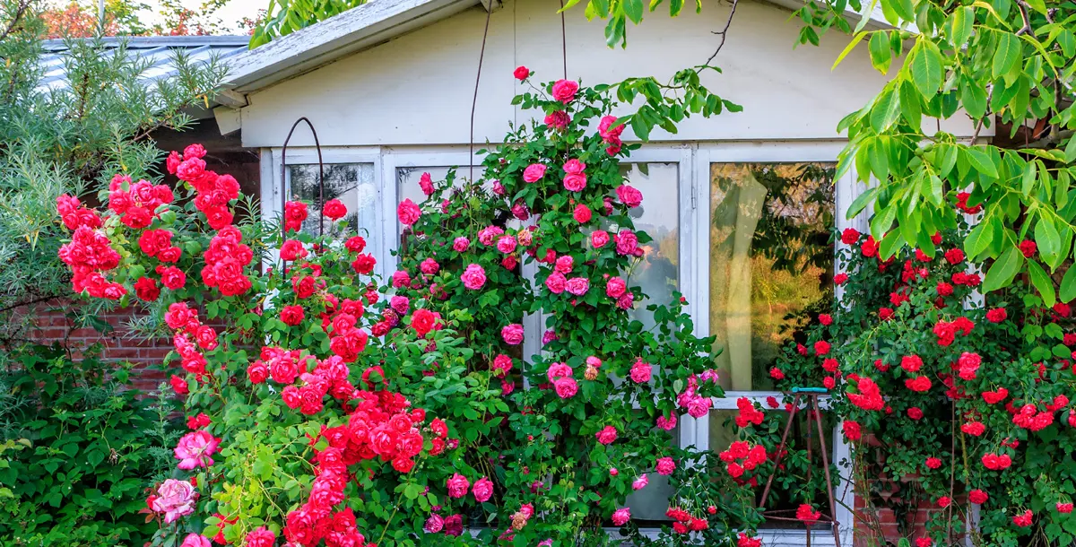 7 مواصفات إذا توفرت في منزلك الصيفي تجعل منه جنّتك المريحة..