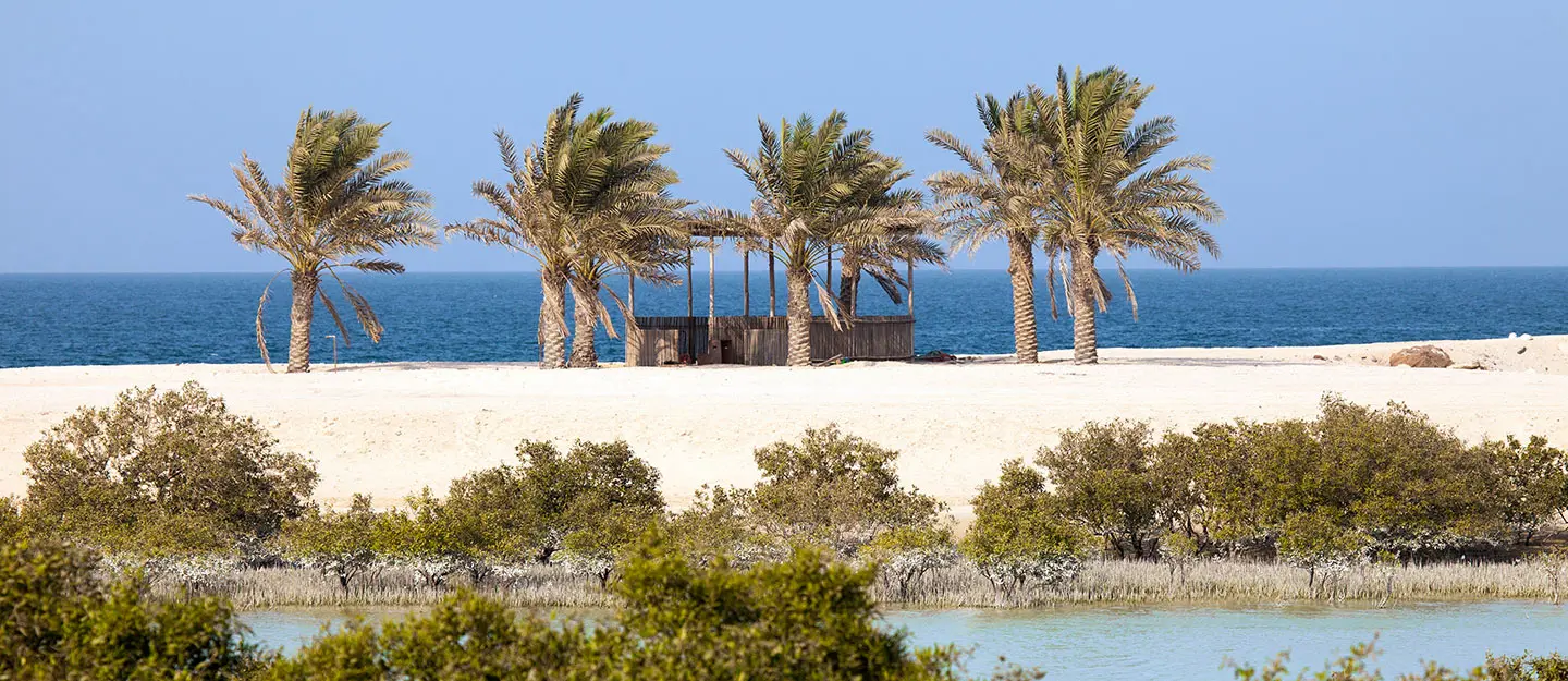 جزيرة صير بني ياس، الإمارات العربية المتحدة