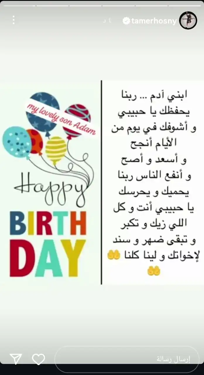 هكذا احتفل تامر حسني بعيد ميلاد نجله آدم هكذا احتفل تامر حسني بعيد ميلاد نجله آدم