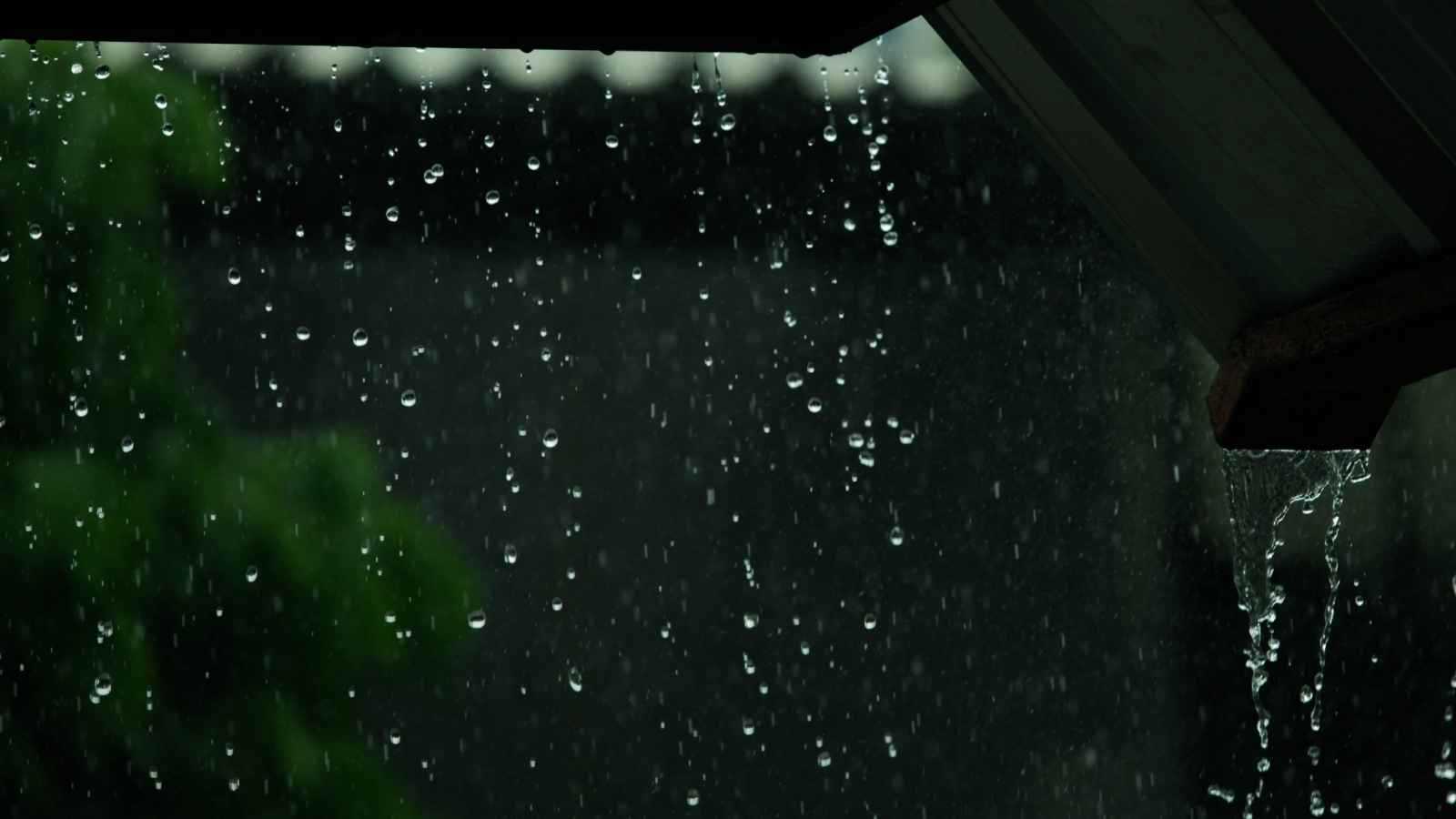 تفسير حلم المطر من دون بلل وعلاقته بالنجاة من الأزمات